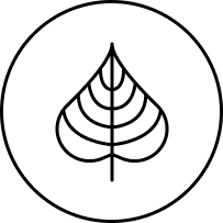 Stylized leaf logo with layered curved veins centered in a white circle